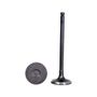 Imagem-do-SKU--40747