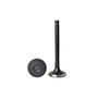 Imagem-do-SKU--40744