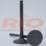 Imagem-do-SKU--3036